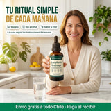 Lymphoria Drenaje Linfático · extracto herbal líquido 59 ml