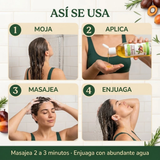 Cómo se usa el shampoo: moja, aplica, masajea 2-3 minutos y enjuaga
